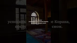 Аль-Фаляк! Послушайте перед сном!!!