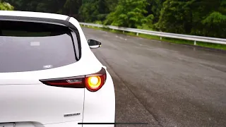 CX-30で雨の高原と渓谷へ、梅雨☔️の日ドライブ。