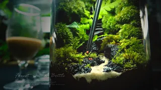 Making a Closed Moss Bottle Terrarium