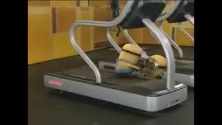 Despicable Me   Minions on  The Biggest Loser  funny