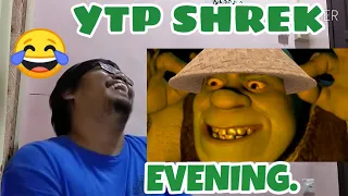 Evening // SHED - YTP