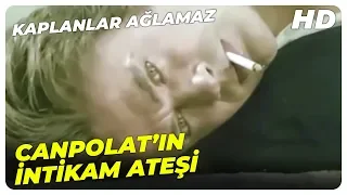 Kaplanlar Ağlamaz - Canpolat, Hasret'in İntikamını Alıyor! | Cüneyt Arkın Eski Türk Filmi