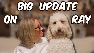 BIG UPDATE on RAY