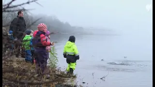 Kids Gone Wild- Denmark's Forest Kindergartens