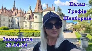 ‼️ПАЛАЦ ГРАФІВ ШЕНБОРНІВ🏰‼️27.04.2024‼️НЕЙМОВІРНЕ ЗАКАРПАТТЯ🇺🇦ЗВУКИ ПРИРОДИ🫶🏻🌲