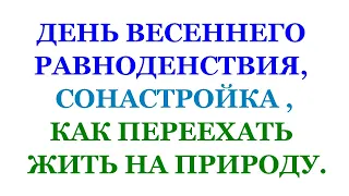 ДЕНЬ ВЕСЕННЕГО РАВНОДЕНСТВИЯ, СОНАСТРОЙКА , КАК ПЕРЕЕХАТЬ ЖИТЬ НА ПРИРОДУ. Трехлебов #трехлебов 2024