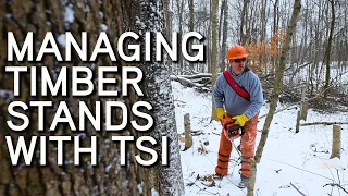 Timber Stand Improvement | Managing Timber Stands | Crop Tree Release