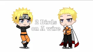 2 Birds on a Wire Meme ~ Naruto