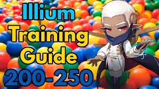 Illium Training Guide 200 - 250