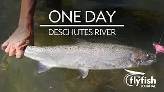 ONE DAY: Summer Steelhead on the fly with Curtis Ciszek and Darcy Bacha