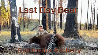2022 California Archery Deer Hunting BIG BEAR DOWN ||CACCIA OUTDOORS
