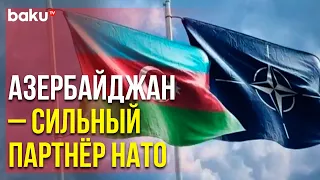 Представитель Верховного Штаба НАТО в Европе о Боеспособности Азербайджанской Армии | Baku TV | RU