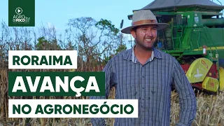 Roraima: agricultura no extremo norte do Brasil - Programa #51 - Agro Em Foco TV Digital