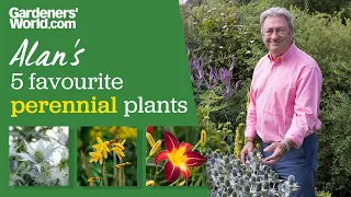 5 plants that look good year after year | Alan's top perennials