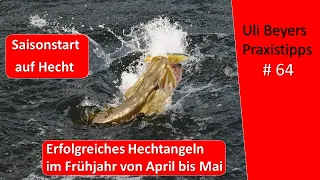 Saisonstart Hecht: Erfolgreiches Hechtangeln im Frühjahr