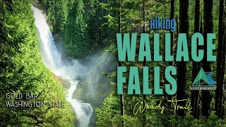Wallace Falls in Spring | Hike Highlights | What to Expect | Near Seattle