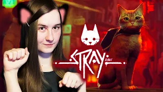 УМИЛИТЕЛЬНАЯ ИГРА С КОТИКОМ💮 Stray #1