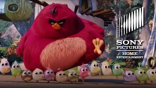 THE ANGRY BIRDS MOVIE: Now on Digital & on Blu-ray and DVD August 16!