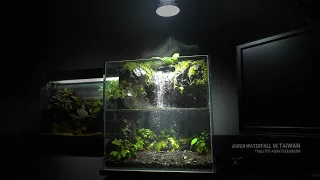 How To Make Amazing Waterfall in Aquaterrarium | Shifen Waterfall Aquascape