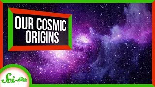 The Chemist Decoding Our Cosmic Origins | Great Minds: Ewine van Dishoeck