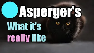 What it's like to have Asperger's: I bet you never thought of this!