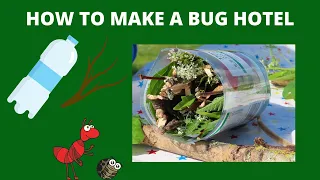 MAKE A BUG HOTEL