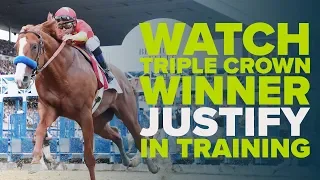 7 DAYS WITH JUSTIFY | Triple Crown winner