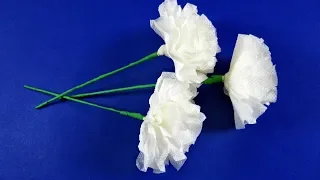 Paper flowers Carnation 🌼 napkins with their hands