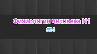 Физиология. Проводящая система сердце.Автоматизм сердце. Опыт Станиуса.#24