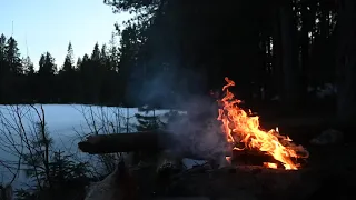 Lakeside Campfire Relaxing Nature Night Sounds