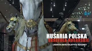 Husaria polska - skrzydła husarskie - legenda skrzydlatych husarzy