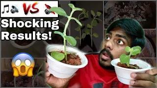 Effect of music on Plant Growth | 🔊 Vs 🔇 | Scientific Experiment | Nixapian