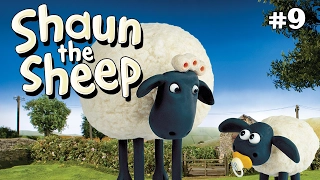 Wash Day x3 Episodes | Season 1 DVD Collection | Shaun the Sheep