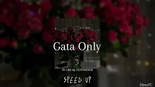GATA ONLY - FloyyMenor /Ft. Cris MJ (sped up)