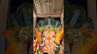 Balapur ka raja #vairal #ytshort #trending #ganesh #shor #ytshorts