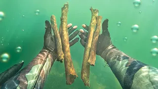 Found Human Bones Underwater! (Police Called)