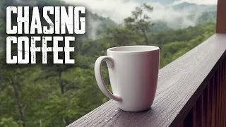 Coffee at 10,000 Feet | Colombia - Chasing Coffee