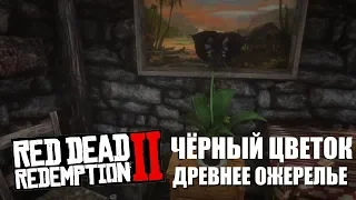 RDR 2 - Новый секрет! Чёрный цветок и древнее ожерелье