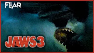 Shark Attacks The Dolphin Pen | Jaws 3 | Fear
