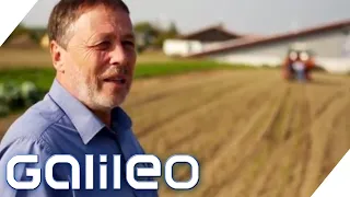 Millionengeschäft Wildblumensamen: Die Erfolgsgeschichte von Familie Rieger | Galileo | ProSieben