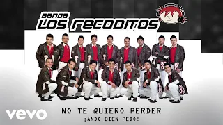 Banda Los Recoditos - No Te Quiero Perder (Animated Video)