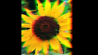 Psychedelic Rock Type Beat - 052 Sunflower [ pop / Indie Rock / lofi / garage / 60s ]