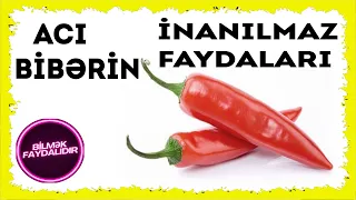 Acı bibər yemək faydalıdır ya zərərli?