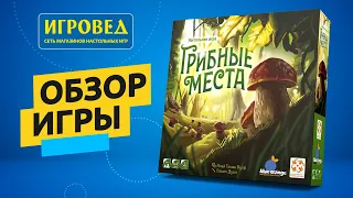 Грибные места. Обзор настольной игры от Игроведа