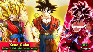 19 Sự Thật Xeno Goku - Ku đỏ ở thế giới Song Song - Dragonball Heroes