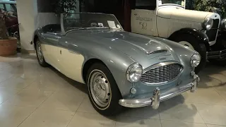 Austin Healey 100 1957