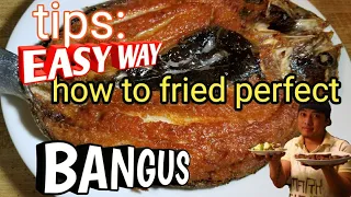 Tips how to cook perfect golden fried bangus