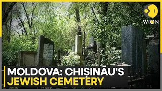 Moldova: Inside Moldova's Chișinău Jewish cemetery | Trending News | WION