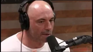 Joe Rogan - What's Going on With the Carnivore Diet