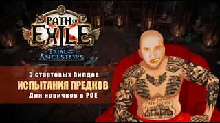 5 стартовых билдов для новичков лиги Испытания Предков | Trial of the Ancestors Starters PoE 3.22